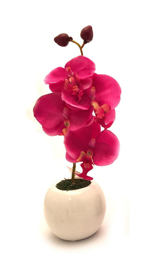 Artificial Pink Orchid in White Pot 27cm